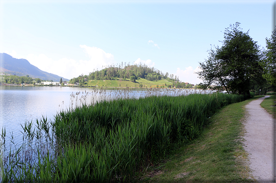 foto Lago della Serraia